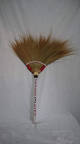 I Tested the Versatility of Walis Tambo in English: My First Person .